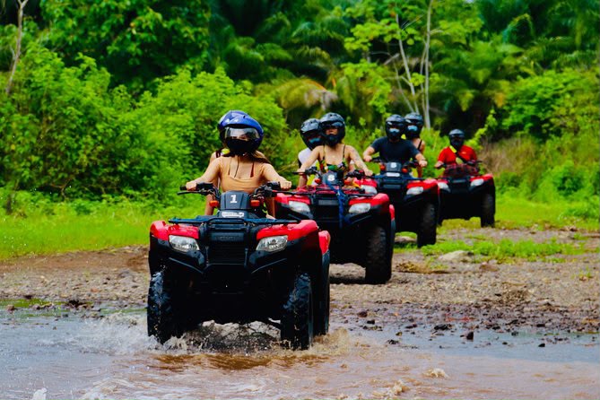 Jungle trail